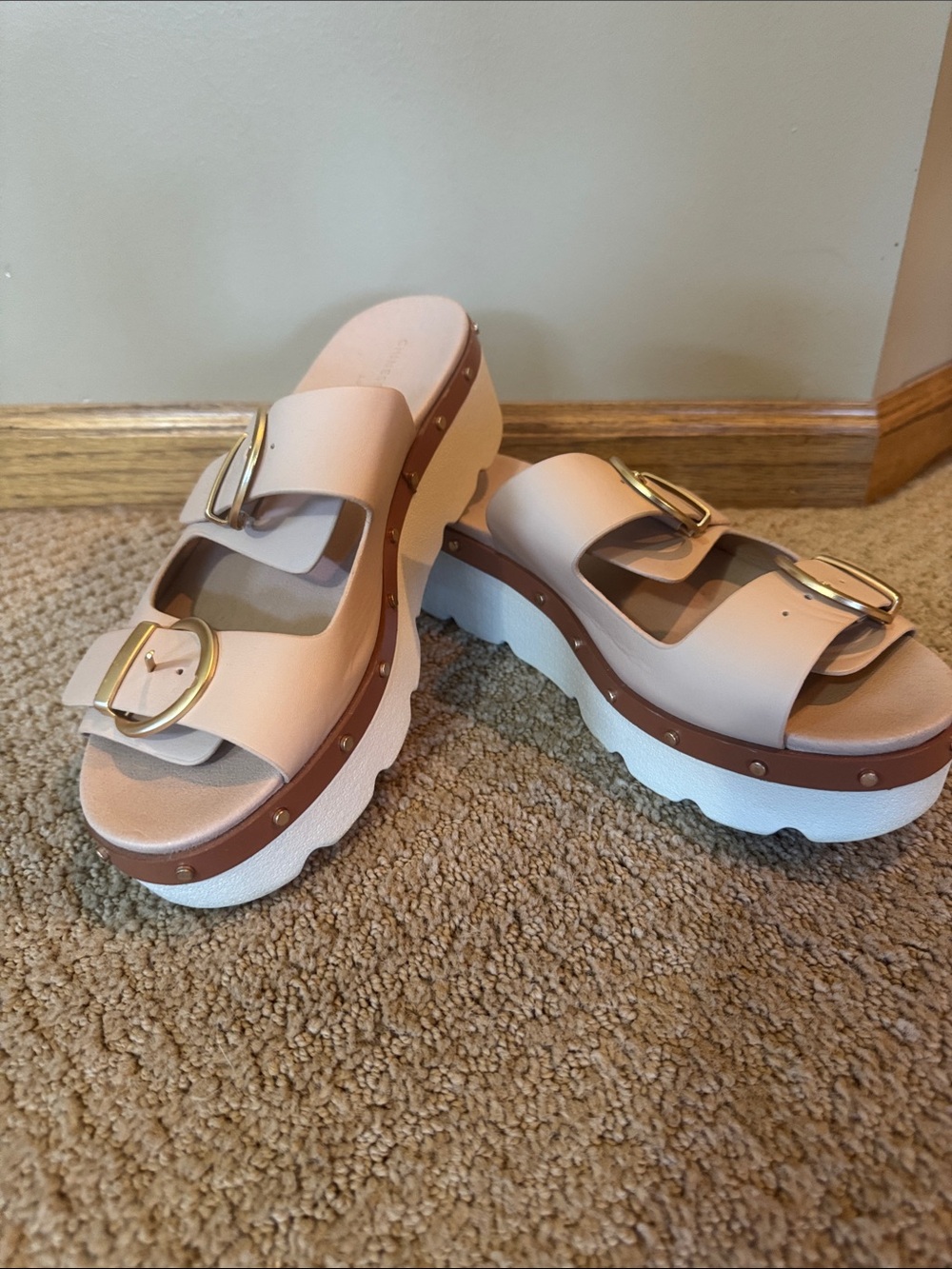 Women’s blush Chunky Slide Sandals with Gold Buckles - sz 8.5/39